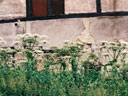 Pflanzenrefugien in Seebach (2005)