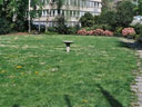 Gemeindepark (2005)
