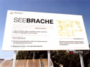 Seebrache (2009)