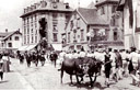 Nordostschweiz. Schwing- und Älplerfest (1901)